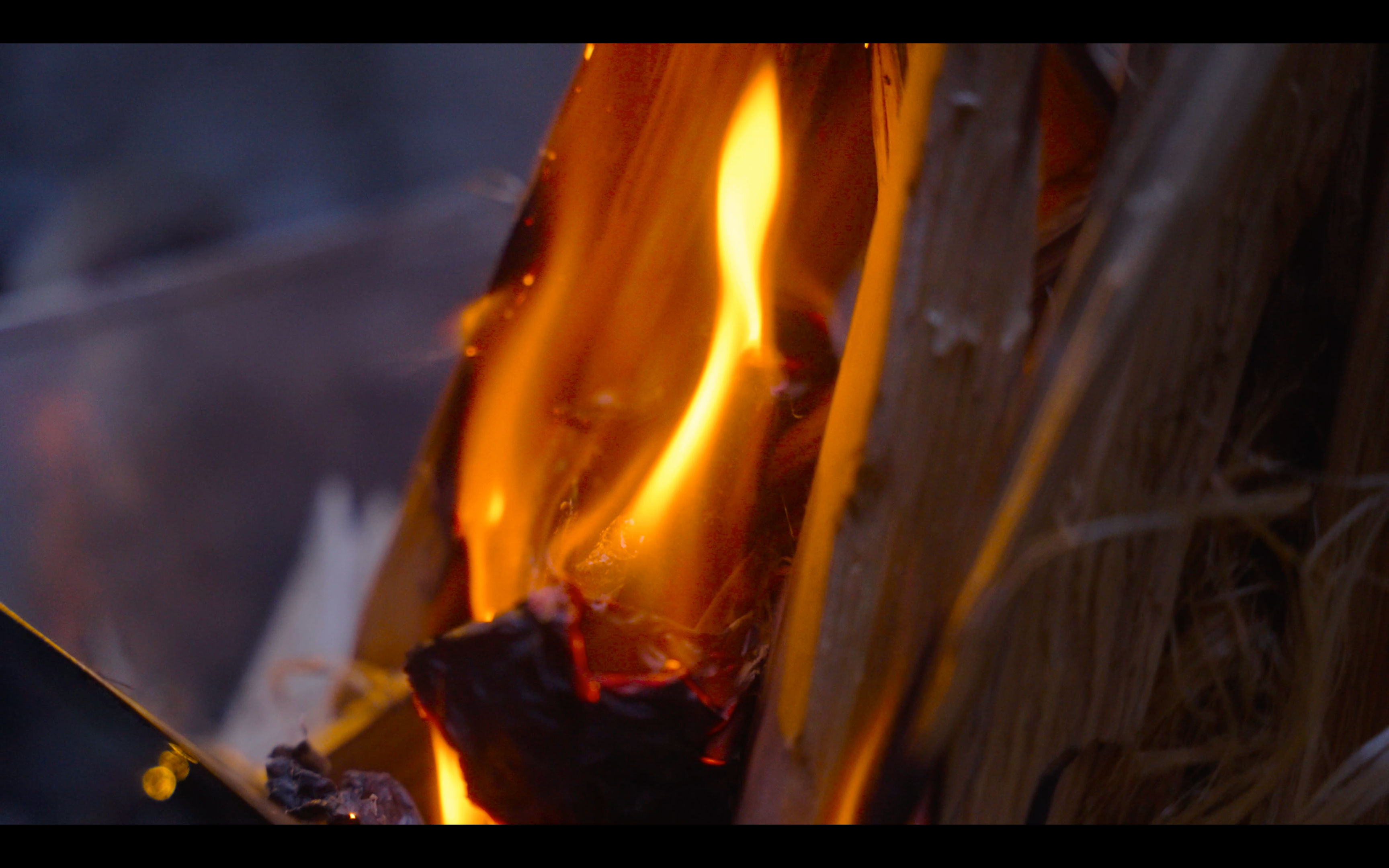 焚き火の映像
