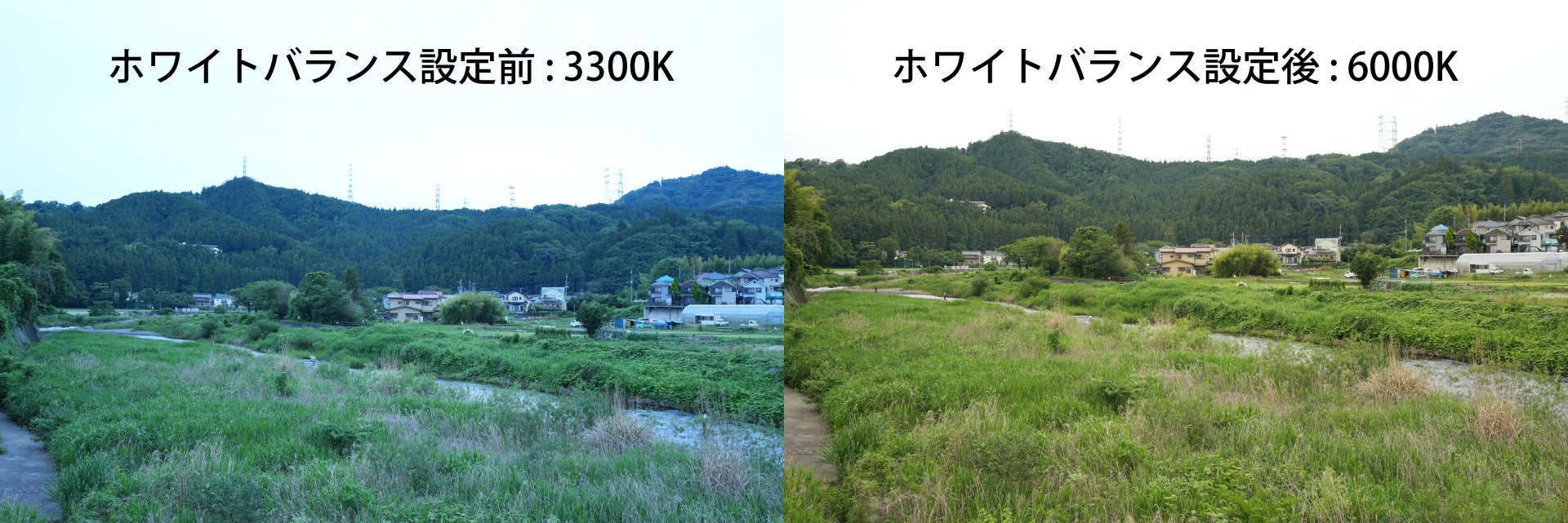 ホワイトバランスを調整した比較画像