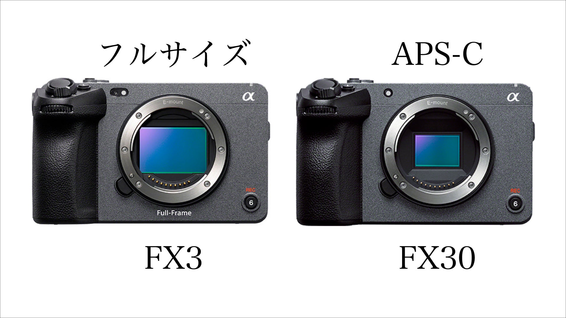 センサーサイズを比較した画像